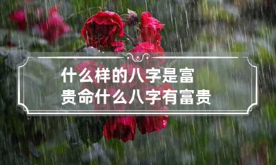什么样的八字是富贵命 什么八字有富贵