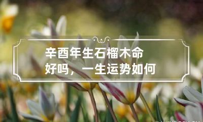 辛酉年生石榴木命好吗，一生运势如何