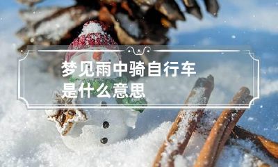 梦见雨中骑自行车是什么意思