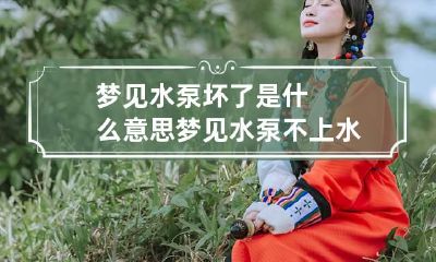 梦见水泵坏了是什么意思 梦见水泵不上水是什么意思