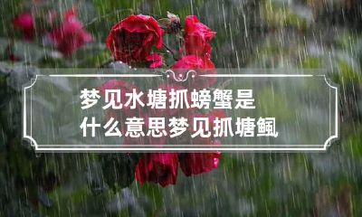 梦见水塘抓螃蟹是什么意思 梦见抓塘鲺