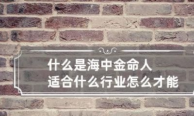 什么是海中金命人 适合什么行业 怎么才能旺