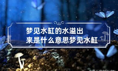 梦见水缸的水溢出来是什么意思 梦见水缸的水溢出来是什么意思呀
