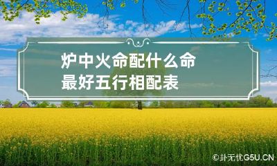 炉中火命配什么命最好 五行相配表