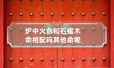 炉中火命和石榴木命相配吗 其他命呢