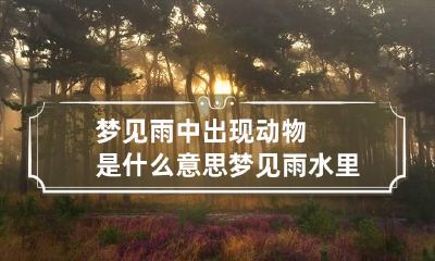 梦见雨中出现动物是什么意思 梦见雨水里有鱼是什么意思