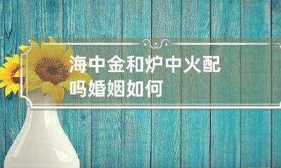 海中金和炉中火配吗 婚姻如何