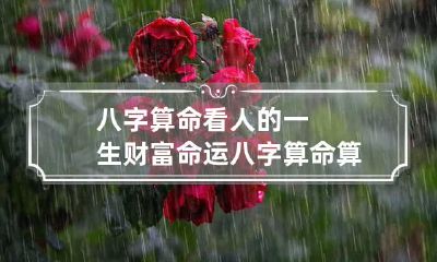 八字算命看人的一生财富命运 八字算命算一生财运