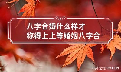 八字合婚什么样才称得上上等婚姻 八字合婚哪八字