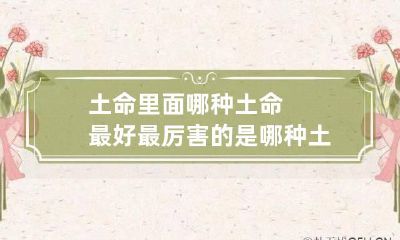 土命里面哪种土命最好 最厉害的是哪种土