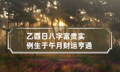 乙酉日八字富贵实例 生于午月财运亨通