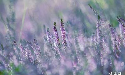 喜用神是金水可以只用金取名吗 喜用神是金水名字推荐