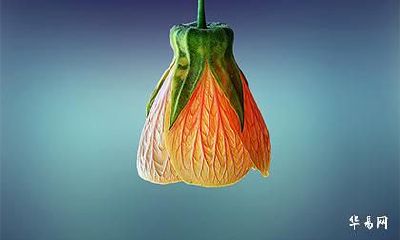 喜水木的女孩名字 喜用神水和木的女孩起名