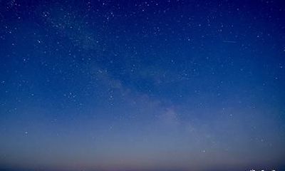 2023农历四月的兔宝宝取什么名字好