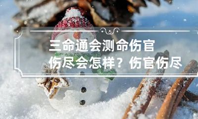三命通会测命伤官伤尽会怎样？ 伤官伤尽命理