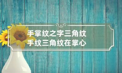 手掌纹之字三角纹 手纹三角纹在掌心