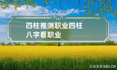 四柱推测职业 四柱八字看职业