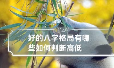 好的八字格局有哪些 如何判断高低