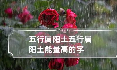 五行属阳土 五行属阳土能量高的字