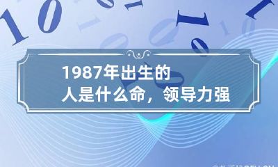 1987年出生的人是什么命，领导力强，有容人之量