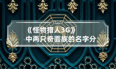 《怪物猎人3G》中两只奇面族的名字分别叫什么？