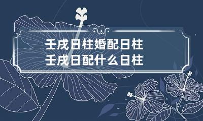 壬戌日柱婚配日柱 壬戌日配什么日柱
