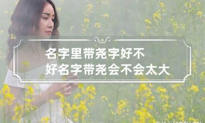 名字里带尧字好不好 名字带尧会不会太大