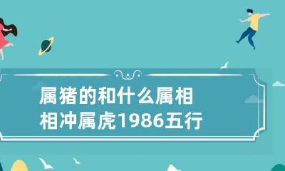 属猪的和什么属相相冲 属虎1986五行属什么