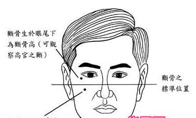 从颧骨面相分析性格