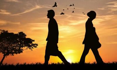 从脸型看婚姻发展，不同脸型的婚姻都是怎么样的？