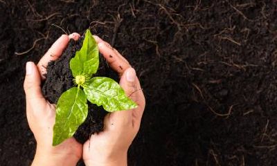 下嘴唇后的女人面相怎么样？命运如何