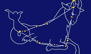 【马+摩羯座】配对