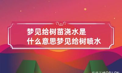梦见给树苗浇水是什么意思 梦见给树喷水是什么意思