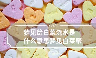梦见给白菜浇水是什么意思 梦见白菜帮