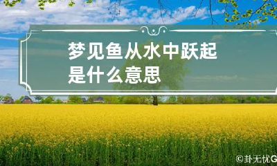 梦见鱼从水中跃起是什么意思