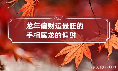 龙年偏财运最旺的手相 属龙的偏财