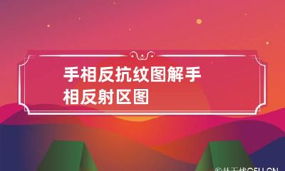 手相反抗纹图解 手相反射区图