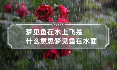 梦见鱼在水上飞是什么意思 梦见鱼在水面上游是什么意思