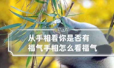 从手相看你是否有福气 手相怎么看福气