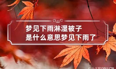 梦见下雨淋湿被子是什么意思 梦见下雨了被淋湿