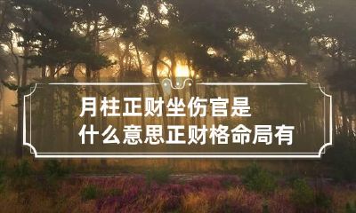 月柱正财坐伤官是什么意思 正财格命局有何特征