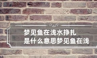 梦见鱼在浅水挣扎是什么意思 梦见鱼在浅滩是什么意思