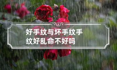 好手纹与坏手纹 手纹好乱命不好吗?