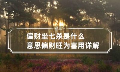偏财坐七杀是什么意思 偏财旺为喜用详解