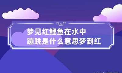 梦见红鲤鱼在水中蹦跳是什么意思 梦到红鲤鱼跳进自己的怀里是什么