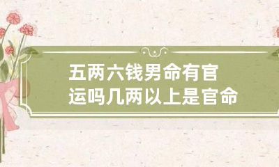 五两六钱男命有官运吗 几两以上是官命