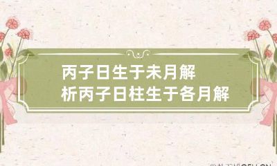 丙子日生于未月解析 丙子日柱生于各月解析