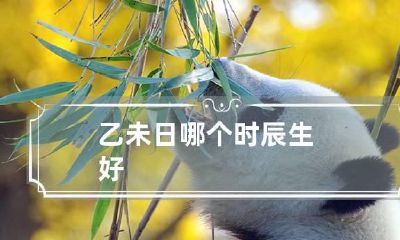 乙未日哪个时辰生好