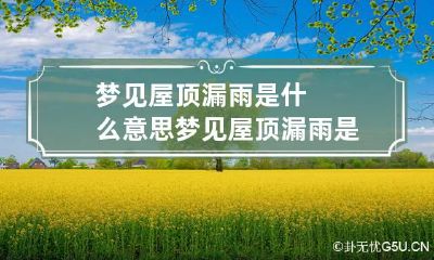 梦见屋顶漏雨是什么意思 梦见屋顶漏雨是啥意思