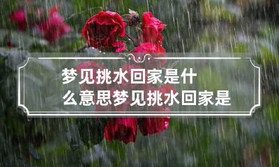 梦见挑水回家是什么意思 梦见挑水回家是什么意思啊